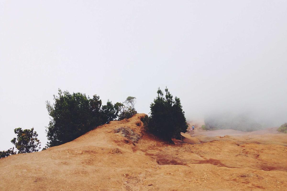 Ultimate HR Compliance Guide for Payroll Managers in 2025