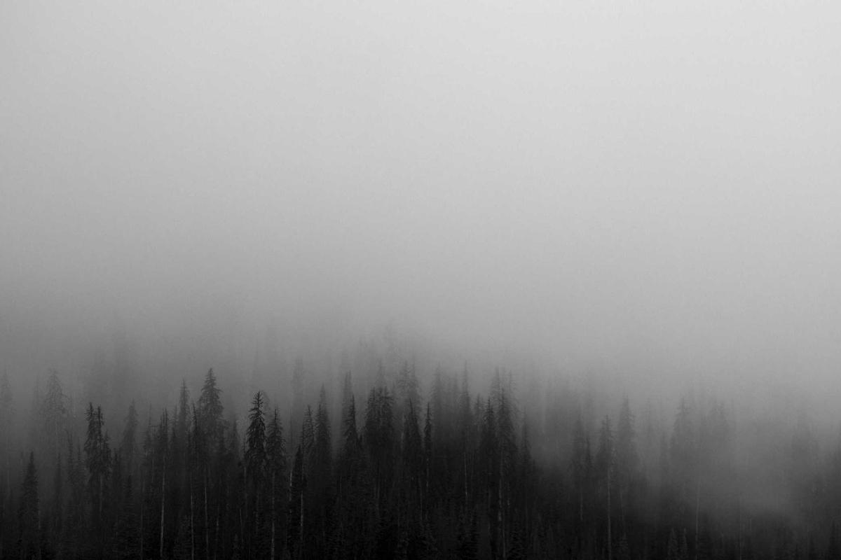 Best Project Management Software for Remote T - expert comparison