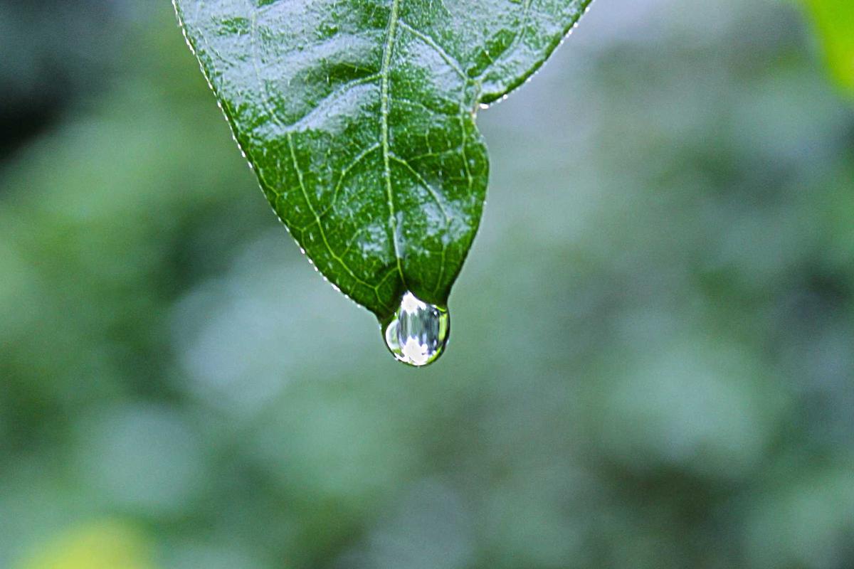 Salesforce CRM Customization Tips: Boost Prod - detailed guide