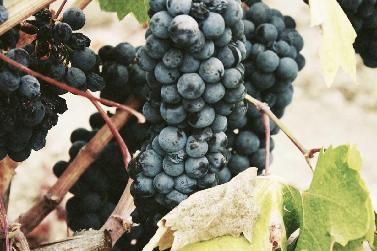 Top 10 Affordable Email Marketing Tools for S - detailed guide