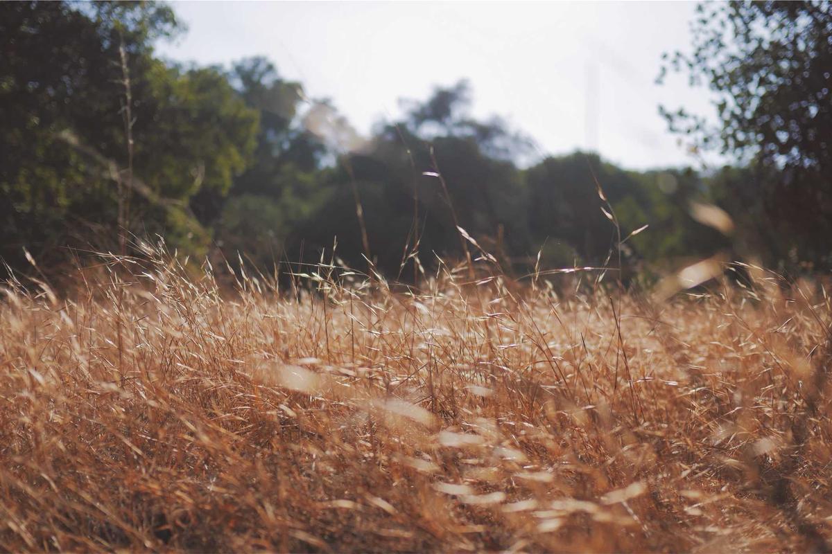 How to Choose a Website Builder for E-commerc - expert comparison